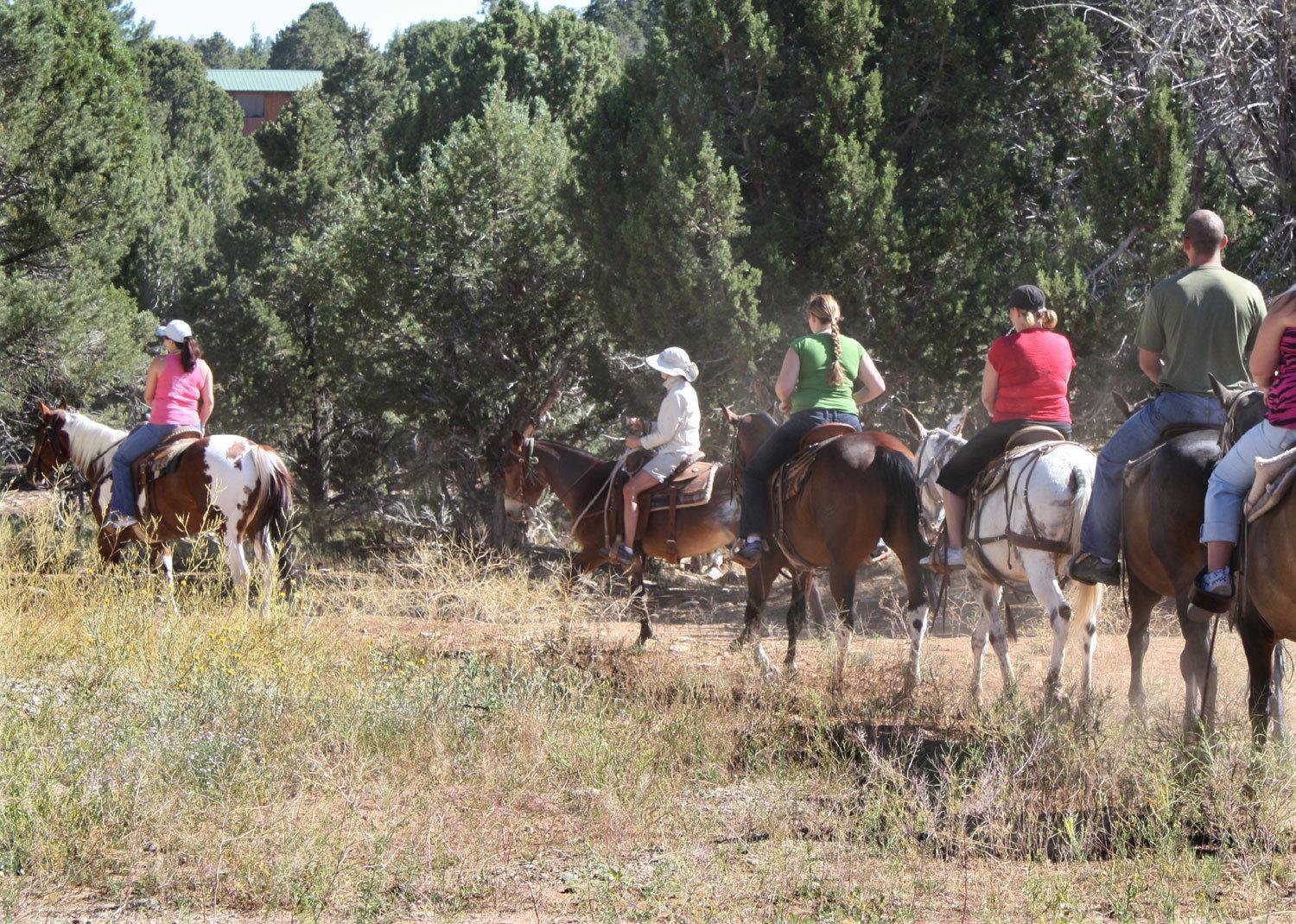 Zion Ponderosa Ranch Resort Springdale Exterior foto
